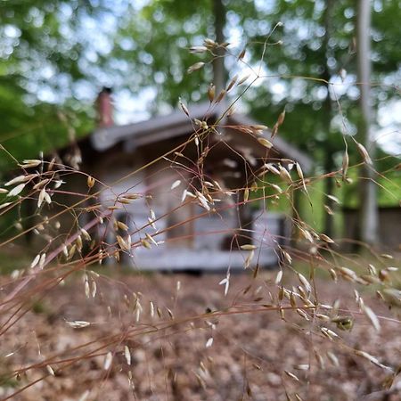 Bjaernhultsgardens Stugor Linderod 외부 사진