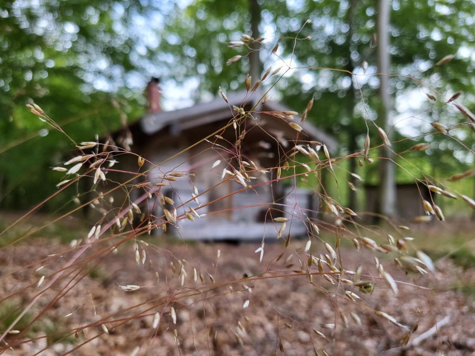 Bjaernhultsgardens Stugor Linderod 외부 사진
