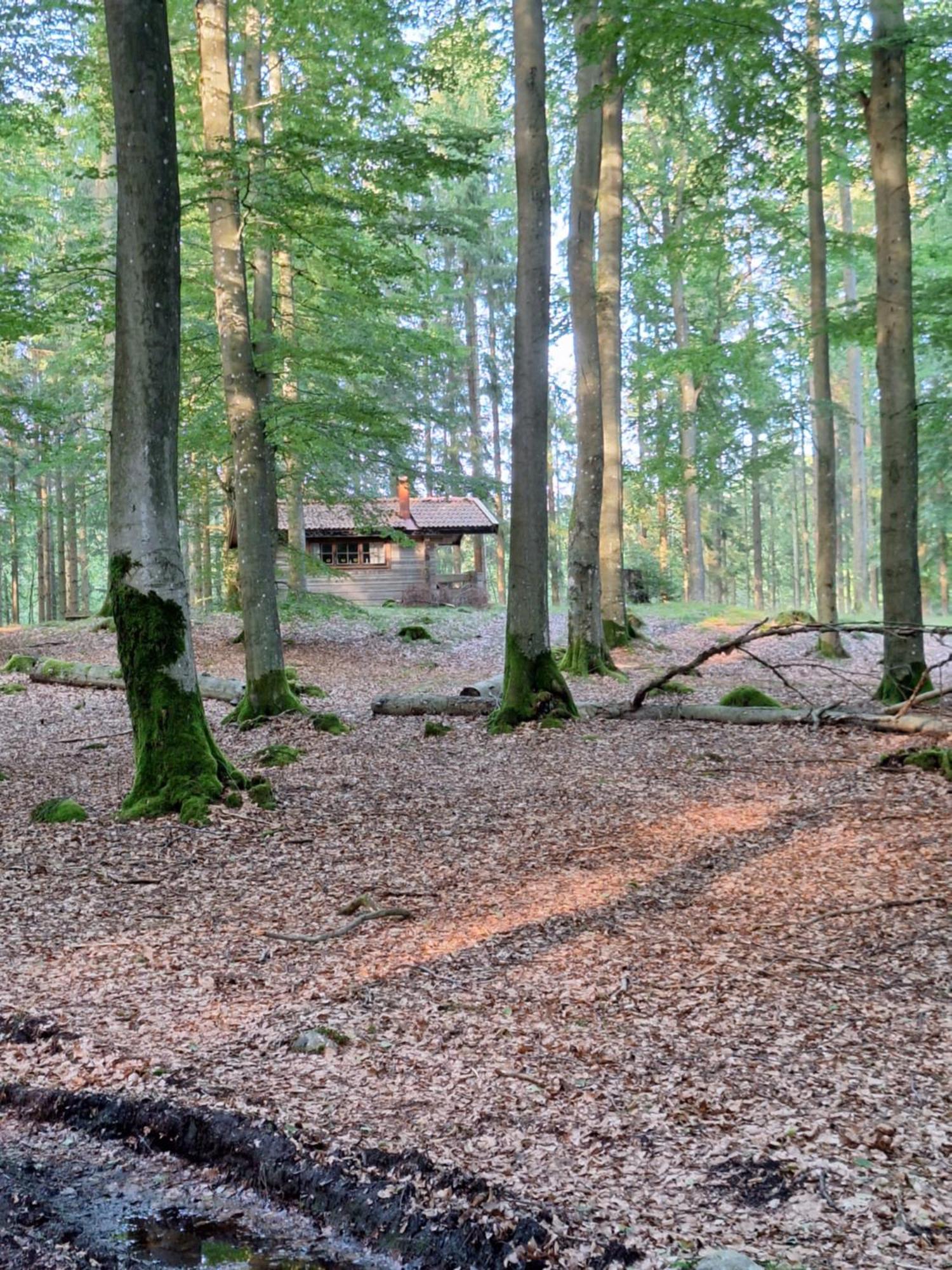 Bjaernhultsgardens Stugor Linderod 외부 사진